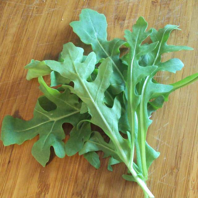 Arugula