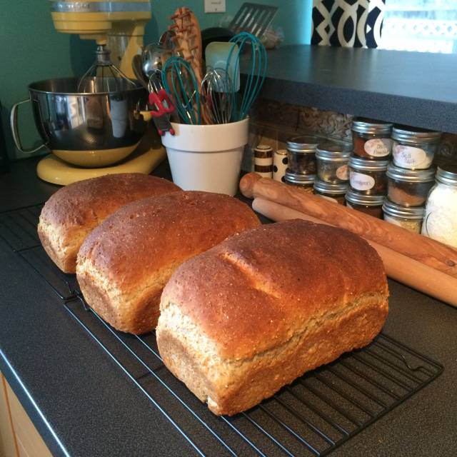 Sandwich Loaves