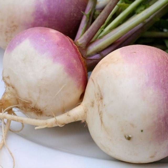 Rutabaga