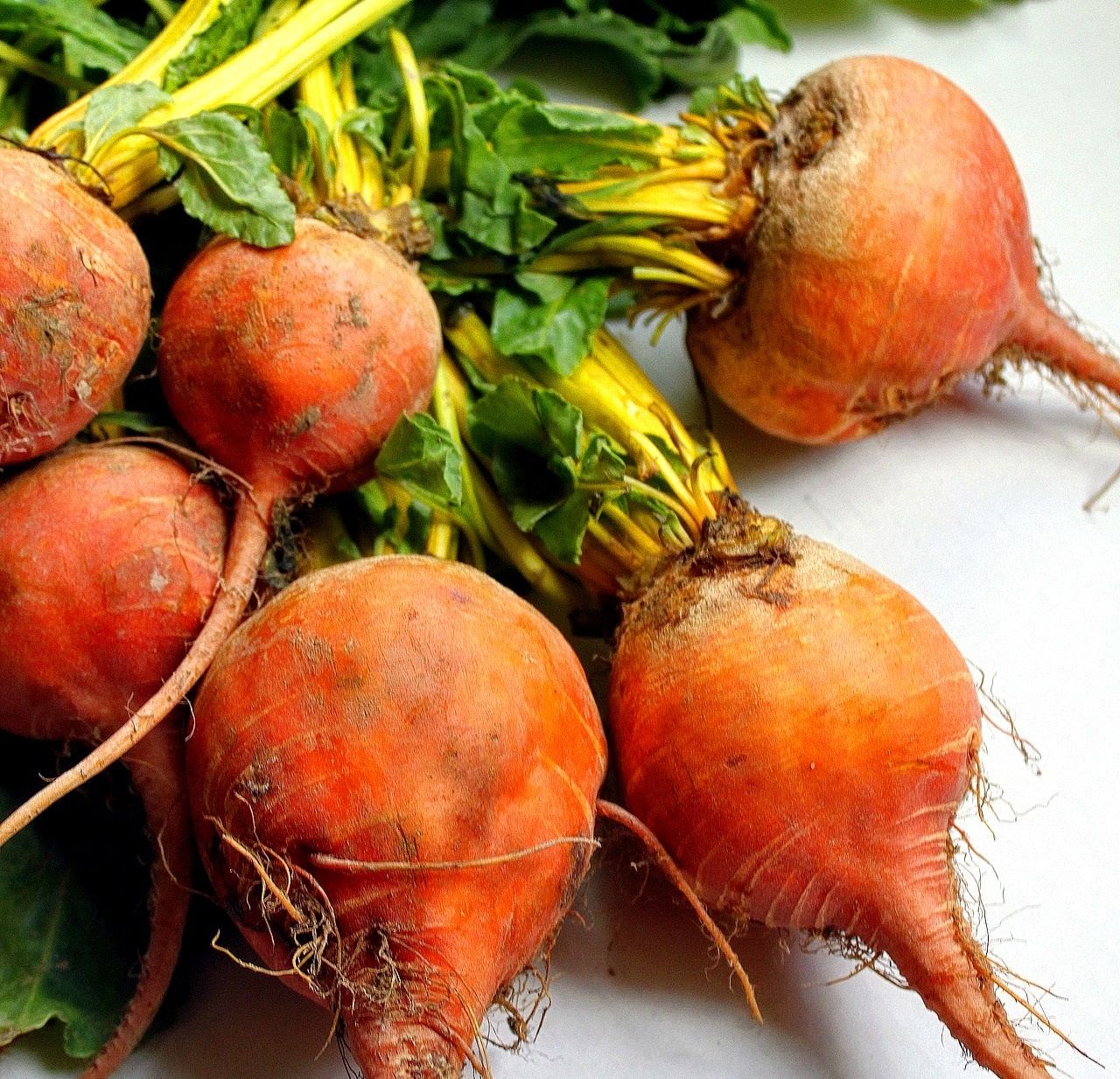 Beets, Golden Beets Vegetables Products MyFarms