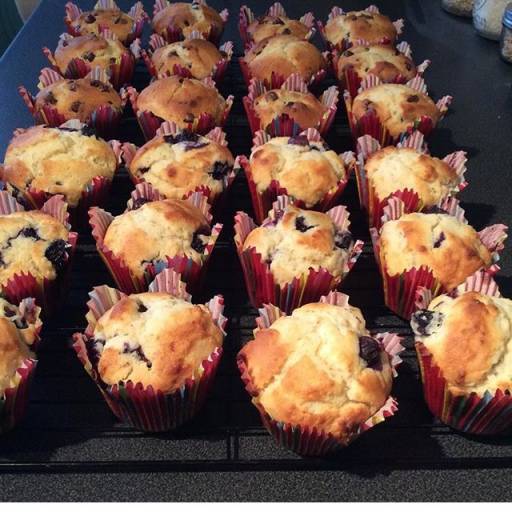 1 dozen Muffins