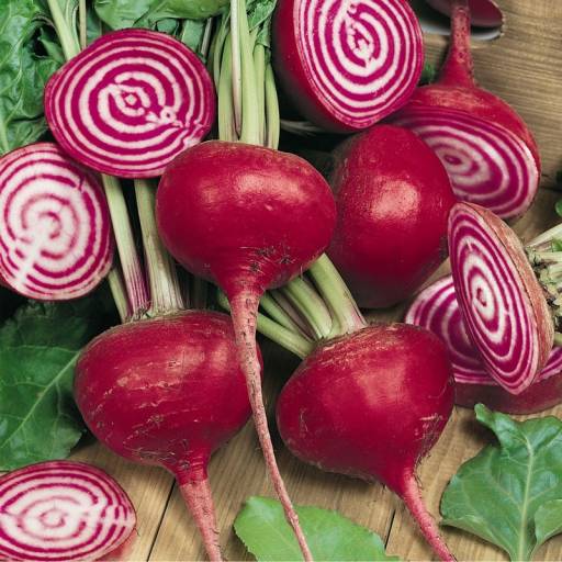 Beets, Chioggia