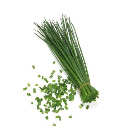 Common chives