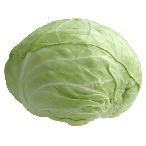 Cabbage (Green)